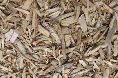 biomass boilers Aldrington